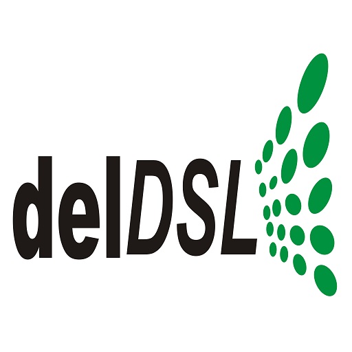 DELDSL ERP Implementation
